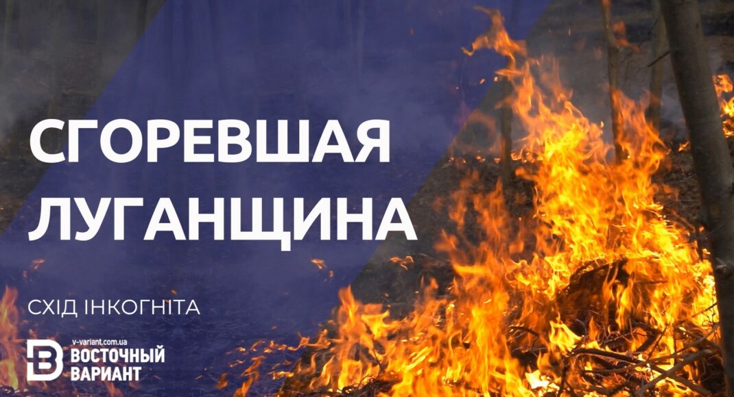 Рыжий лес на Луганщине. Ужасные последствия лесных пожаров лета 2020