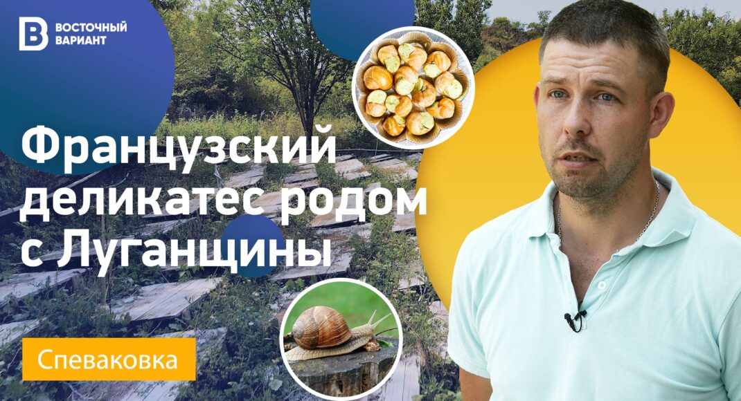 Улитки из Донбасса в Европу. Как переселенец из Луганска делает экзотический бизнес