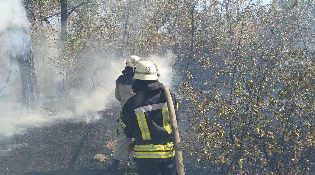 На прошлой неделе в Лиманской ОТГ спасатели ликвидировали 38 пожаров