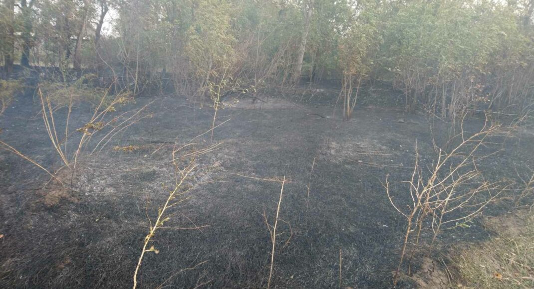 На Донеччині за добу ліквідували близько 90 пожеж