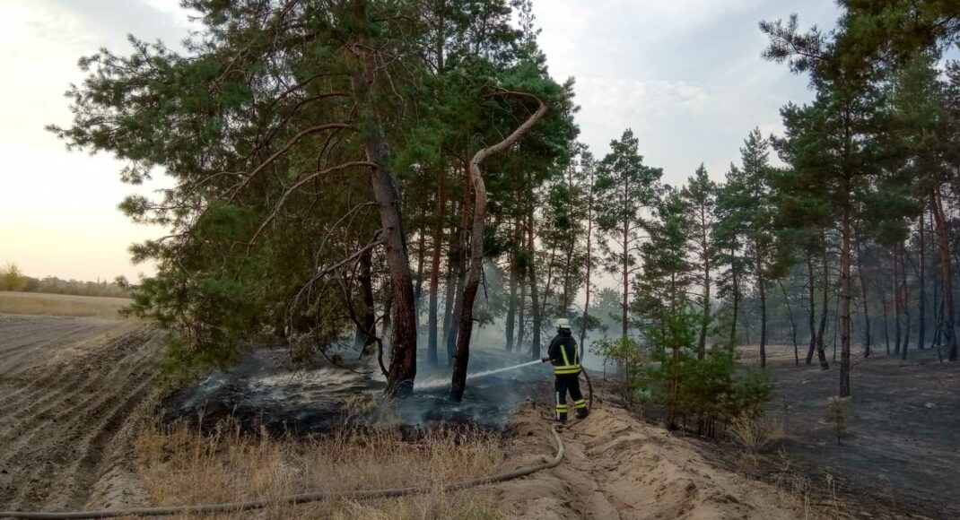 В ГСЧС сообщили оперативную информацию о пожаре леса на Луганщине