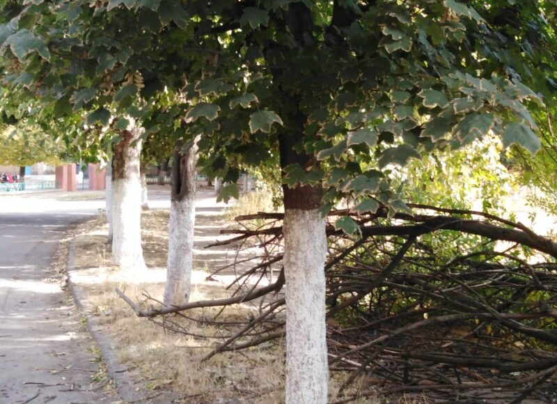 На території однієї зі шкіл Краматорська зробили сміттєзвалище: фото