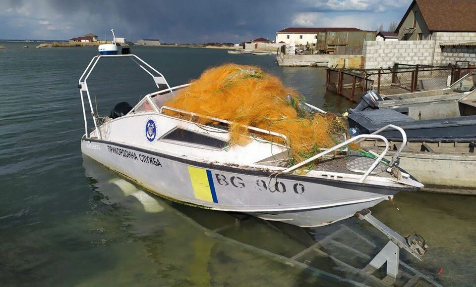 В браконьерских сетя в Азовском море запутался дельфин