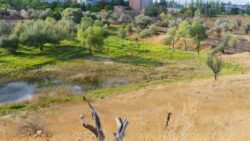 Водопостачання Слов'янська. Озеро питної води та сумна історія, яку хочеться розповісти