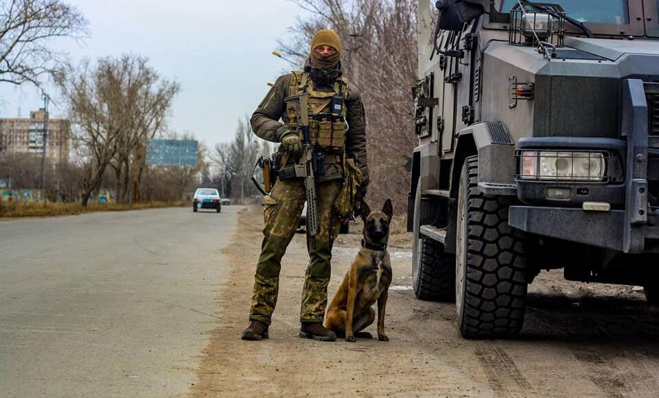 В Авдіївці службовий пес виявив схрон зі зброєю