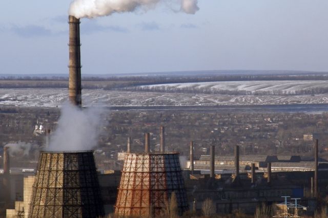 На підприємстві в Макіївці "днр" оголосила карантин через спалах сказу