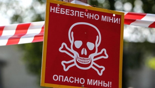 В Украине с начала полномасштабного вторжения из-за подрывов на минах погибли 185 человек