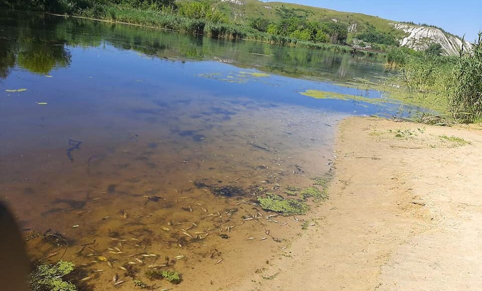 На Луганщине в реке Айдар запретили купаться и ловить рыбу: причина