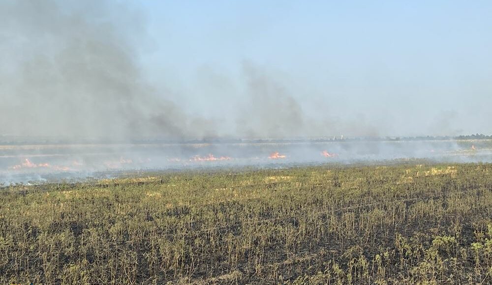 На Донеччині збільшилася кількість пожеж: 39 займань за добу