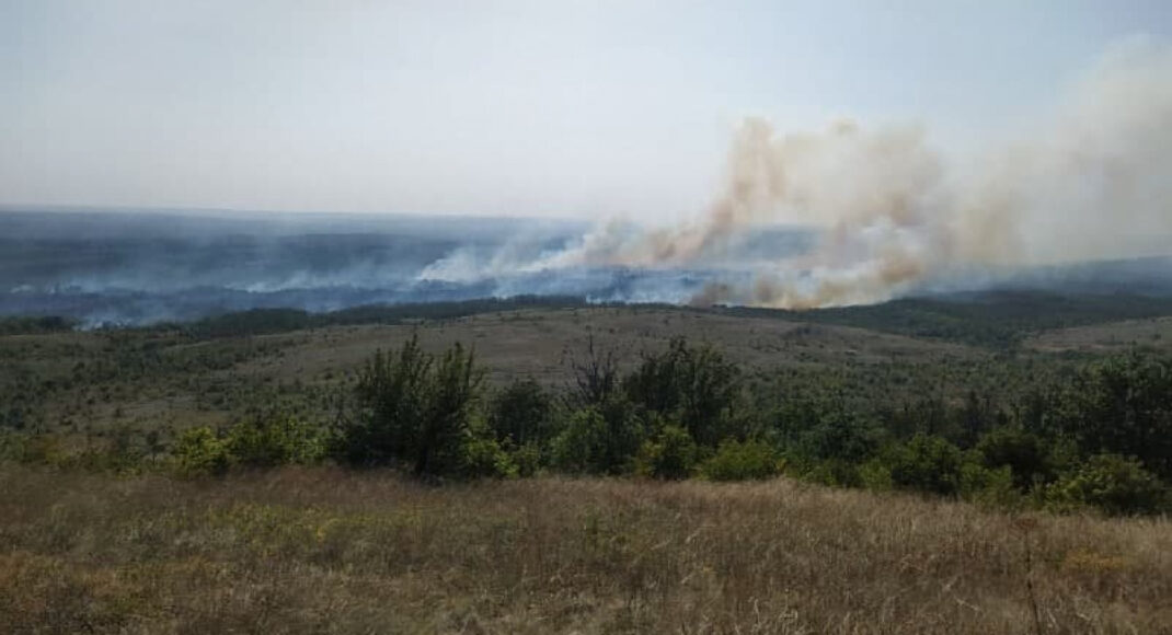 На окупованій Донеччині горить частина ландшафтного парку (відео)