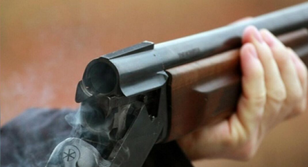 У Бахмуті волонтери намагаються врятувати собаку, який отримав вогнепальне поранення