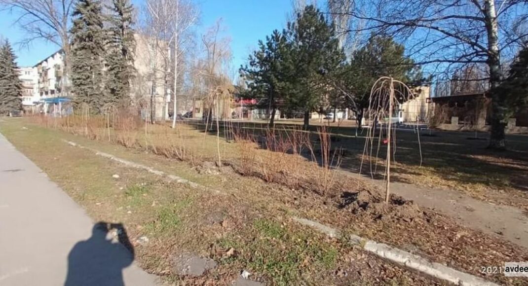 В Авдіївці стартував проєкт з озеленення міста