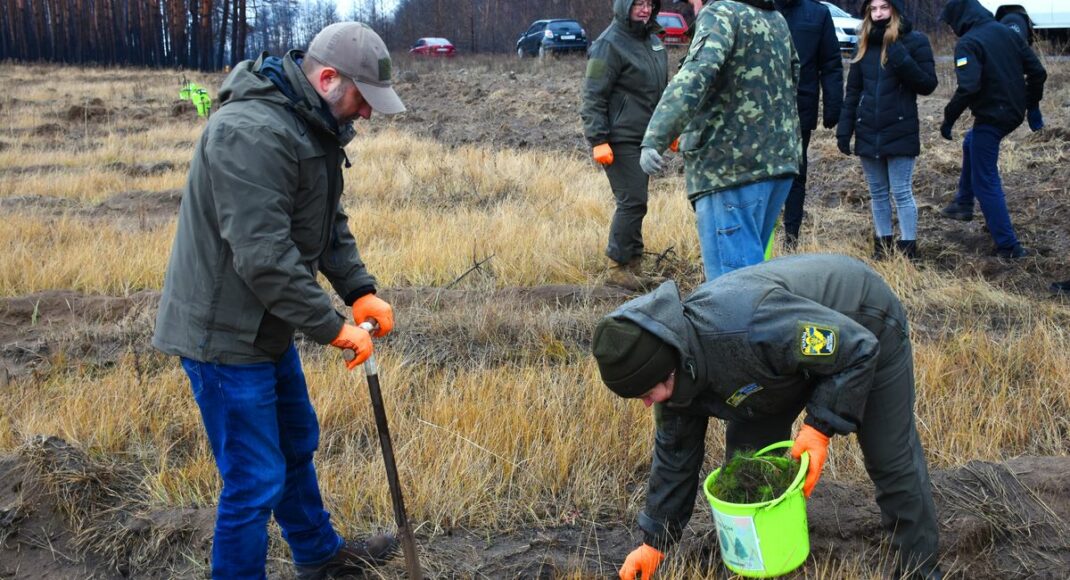 Біля Сєвєродонецька за участю делегації зі Словаччини висадили 3 га лісу