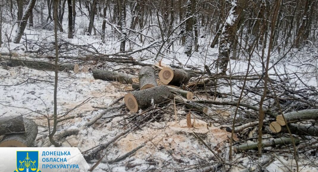 Факт незаконной вырубки леса на 1,6 млн грн выявлен под Краматорском