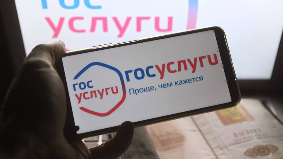 В России рассмотрят вопрос по оформлению соцвыплат для жителей ОРДЛО через портал Госуслуги