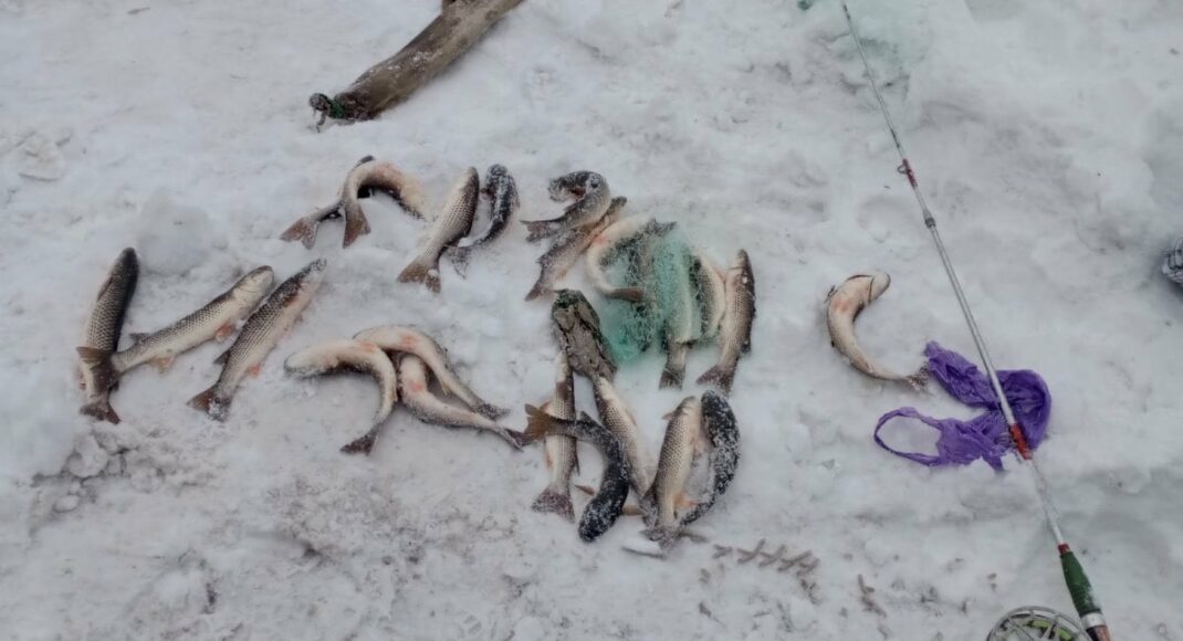 У Маріуполі затримали браконьєра з уловом на 40 тисяч
