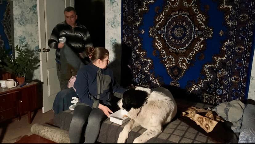 Правозащитники показали последствия ночного обстрела на Луганщине со стороны НВФ (фото)
