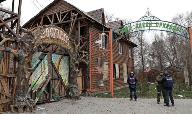 У зоопарку Маріуполя від обстрілів Росії загинуло 18 тварин