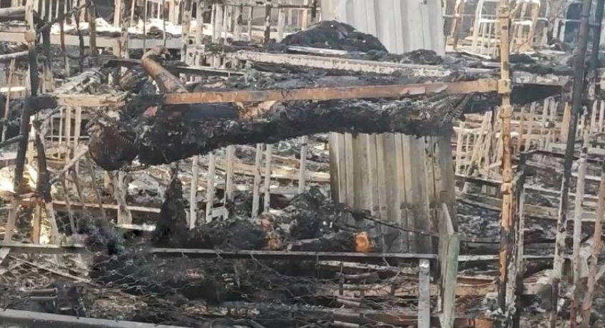 У колонії Оленівки міг виникнути підпал від підриву речовини у самій будівлі, — Арестович