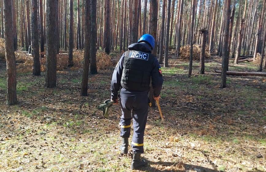 В Святогорске и Лимане саперы продолжают разминировать территории