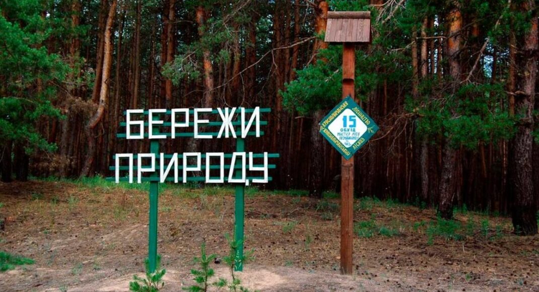 Жизнь после деоккупации: как Лиманский лесхоз возобновляет свою работу