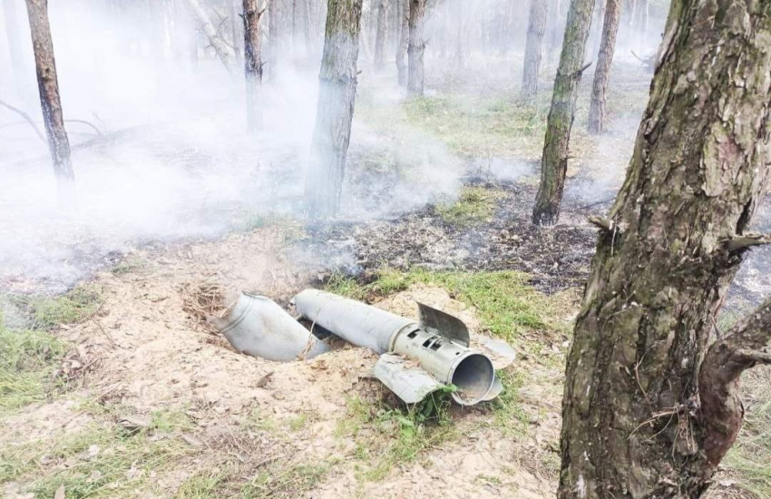 В Донецкой области из-за боев сгорели более 15 тысяч гектаров леса