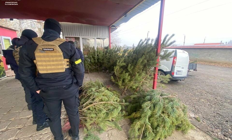 Поліцейські перевіряють дотримання правил продажу новорічних ялинок у Слов'янську та Краматорську