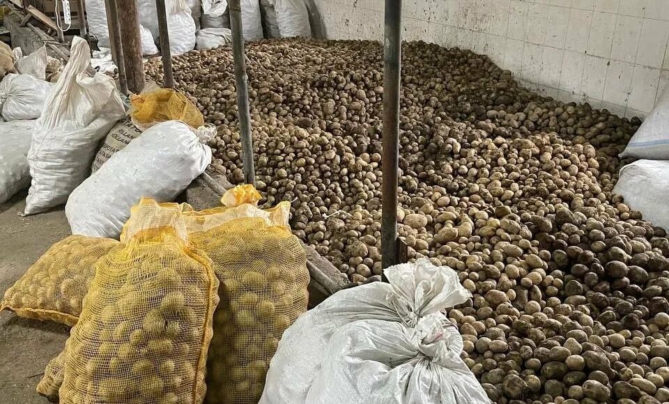 Окупанти блокують роботу фермерів на Луганщині: масово псується врожай 2022 року