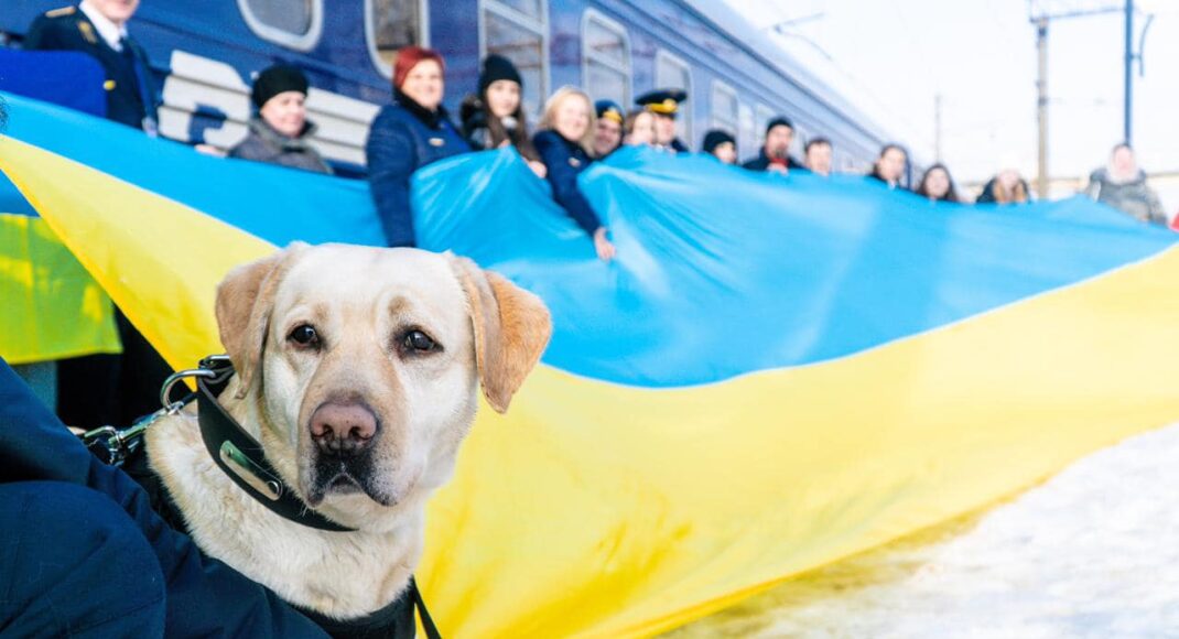 Из Ужгорода в Краматорск пассажиров "Поїзду єднання" сопровождает четвероногая охранница Укрзализныци: фото
