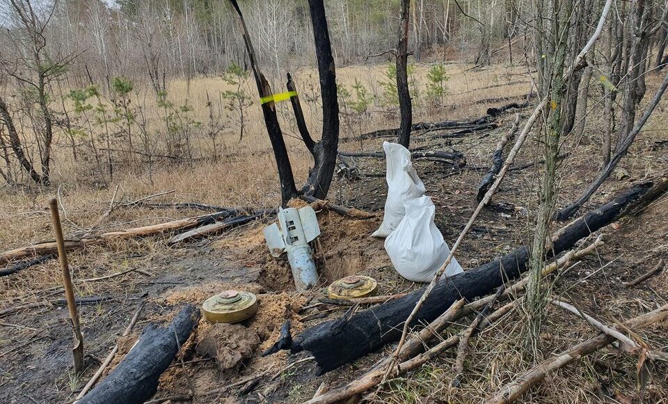 В лесах вокруг деоккупированного Лимана продолжается разминирование
