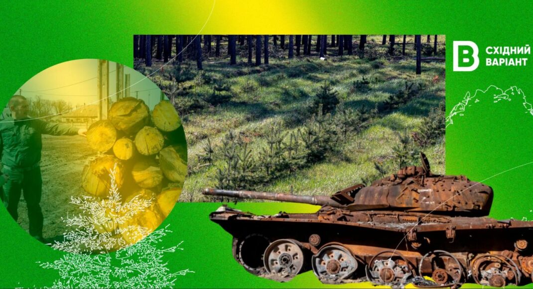 Спасти деревья и разминировать леса: как восстанавливается лиманское лесничество и какие с этим проблемы