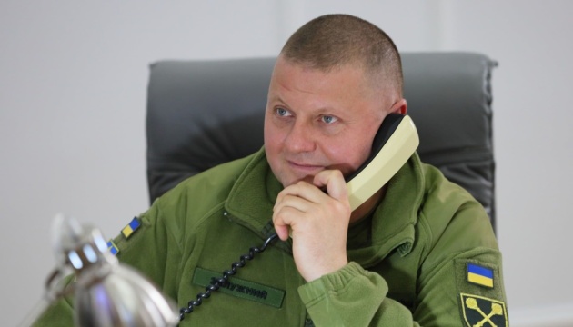 Залужный проинформировал Милли о подготовке ВСУ к освобождению украинских территорий