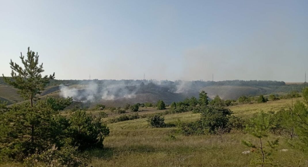 В Краматорске после попадания одного из вражеских снарядов возник пожар на территории ландшафтного парка