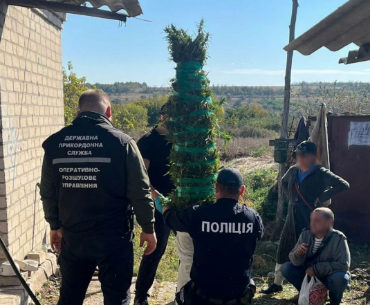 Поліція Лимана викрила місцевого мешканця у вирощуванні та зберіганні канабісу (фото)