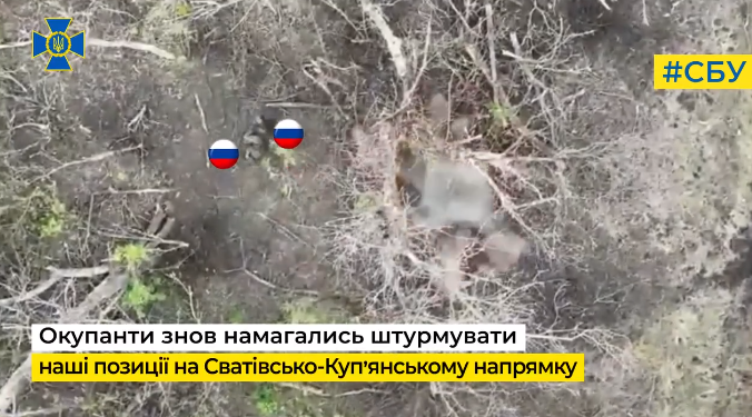 На Сватівсько-Куп’янському напрямку Сил оборони вразили окупантів ударними дронами (відео)