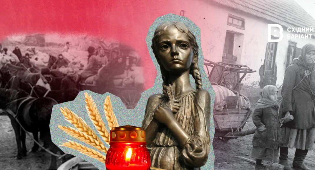 "Російська спроба зламати хребет української нації": доктор історичних наук з Донеччини про Голодомор