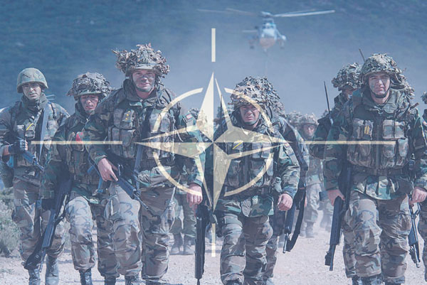 Понад 150 вчених з різних куточків світу закликали НАТО запросити Україну приєднатися до Альянсу