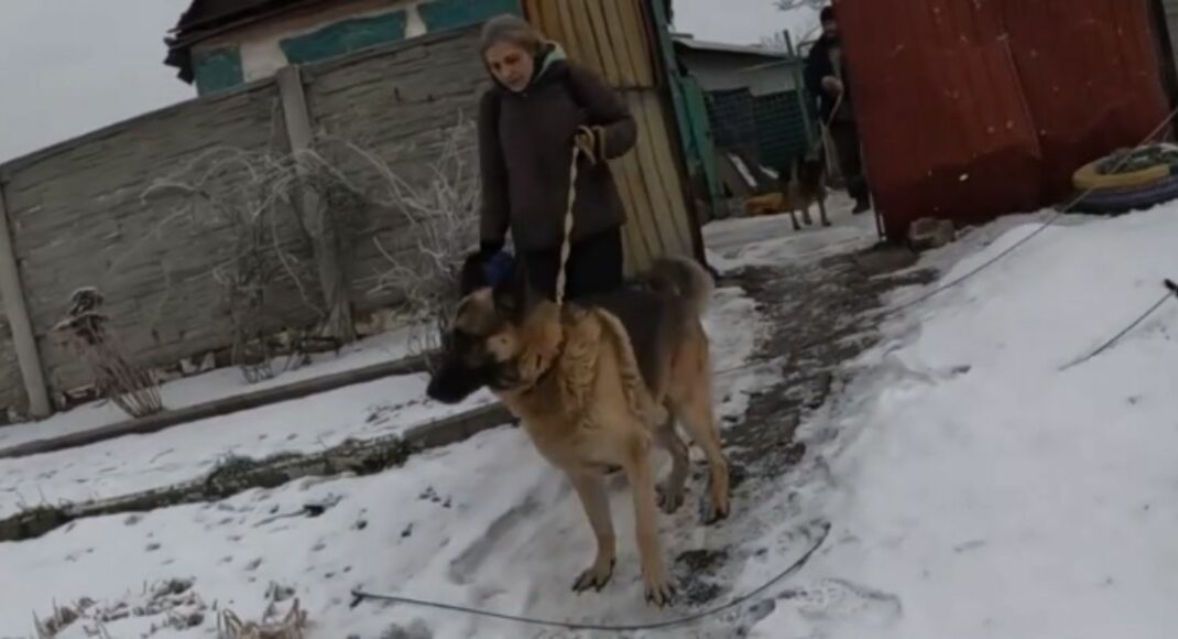 "Білі янголи" евакуювали з Авдіївки подружжя з двома вівчарками, поки зовсім поруч йшов бій (відео)
