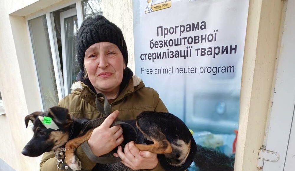 У Костянтинівській громаді стартував 7-денний проєкт зі безкоштовної стерилізації тварин