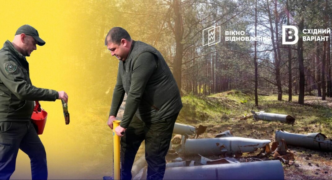 "Планируем высадить 120 тысяч деревьев": как на Донетчине восстанавливается "Лиманский лесхоз"