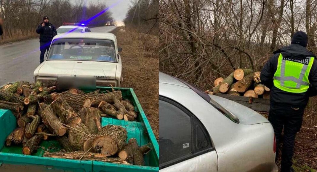За сутки полицейские в Краматорске и Славянске обнаружили 5 случаев незаконного спила и перевозки древесины