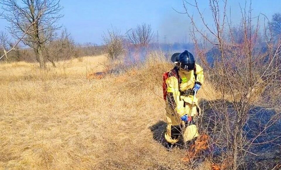 На окупованій Донеччині протягом минулої доби сталося 30 пожеж на природі