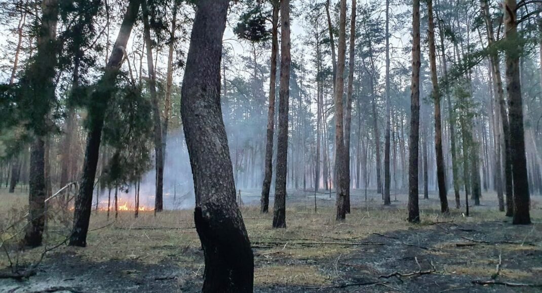 Через російські обстріли на території лісів Лиманщини сталося кілька пожеж