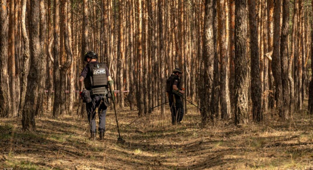 На Донетчине за прошедшие сутки обезвредили 270 взрывоопасных предметов