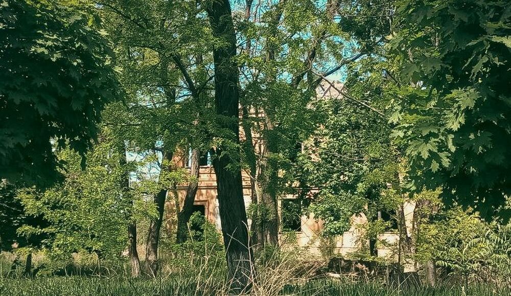 Андрющенко показав пологовий будинок в Маріуполі, в який влучила російська бомба (фото)
