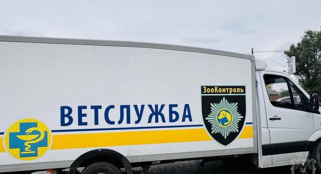 В Покровске снова работает "ЗооКонтроль"