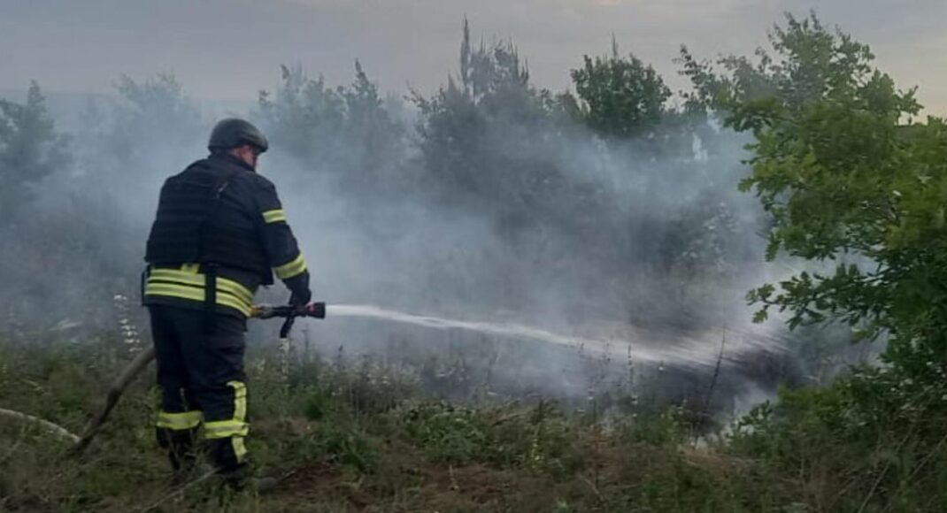 На Донетчине ликвидировали 9 пожаров на открытых территориях и в природных экосистемах