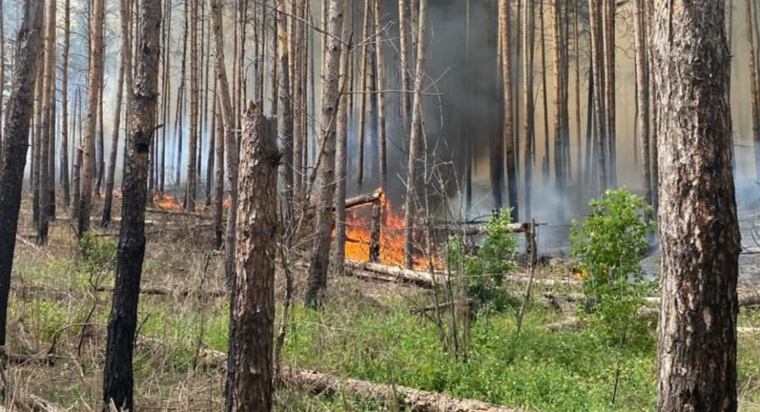 С 15 по 17 июля на территории Донецкой области ожидается чрезвычайная пожарная опасность