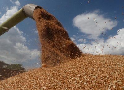 Окупанти готують Маріупольський порт до переправи краденого українського зерна, — Спротив