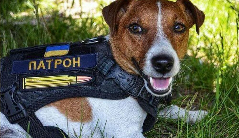 У Києві проведуть навчальний захід з мінної безпеки для дітей з Маріуполя